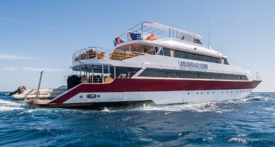 Red Sea Liveaboards