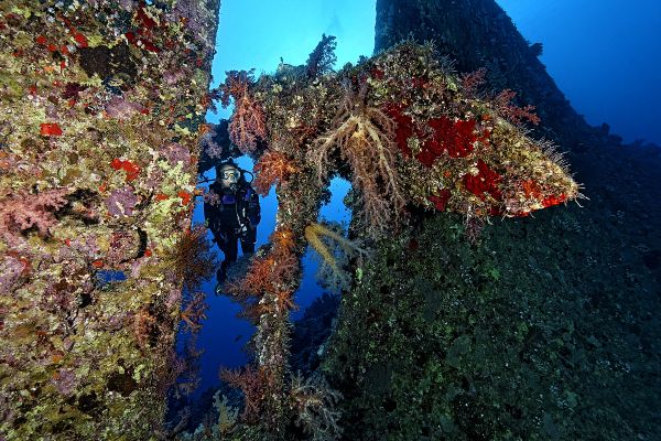 Dunraven Wreck