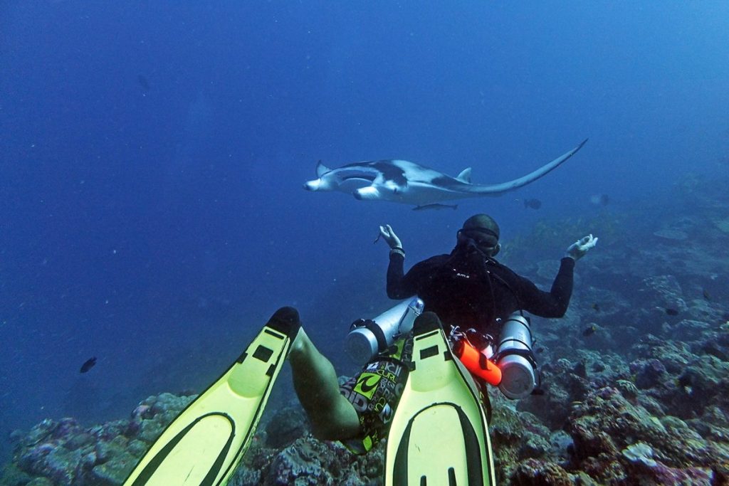 Dive with Mantas