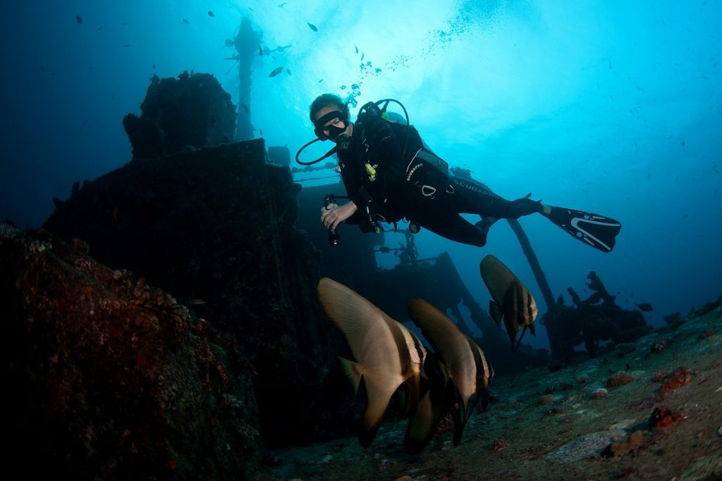 Machafushi Wreck, South Ari Atoll