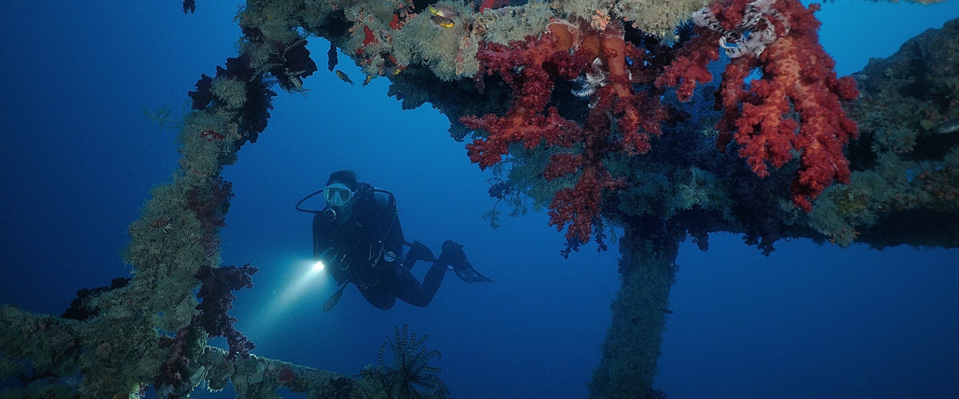 Famous Five Liveaboard Itinerary: Rosalie Moller, Thistlegorm & more