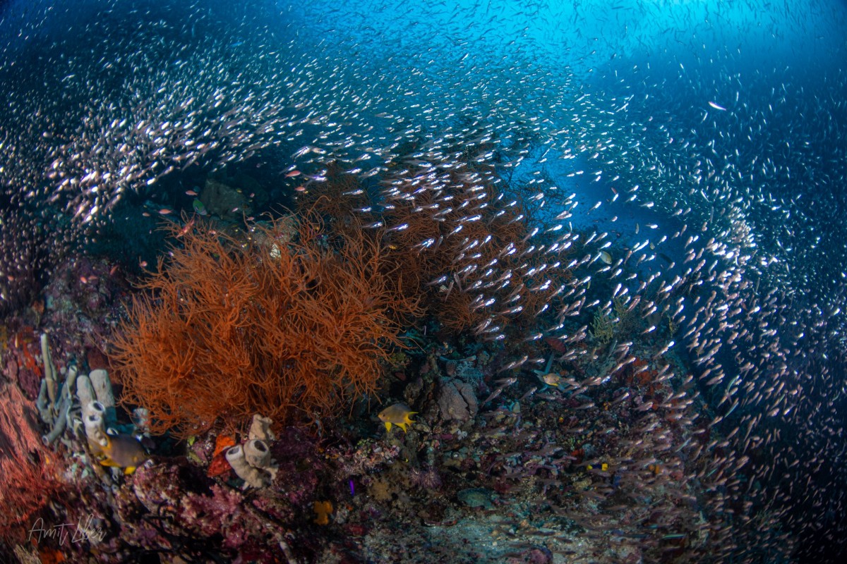 Raja Ampat