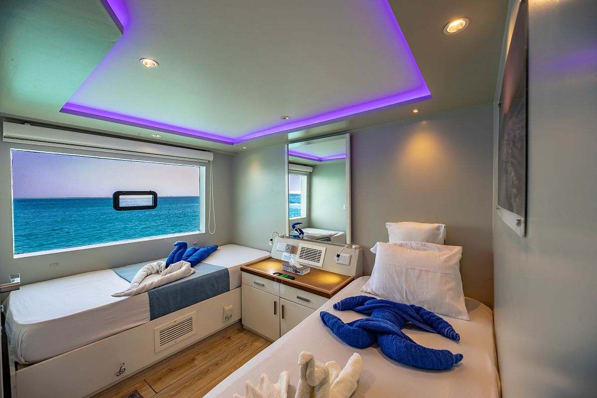 Main Deck Cabin