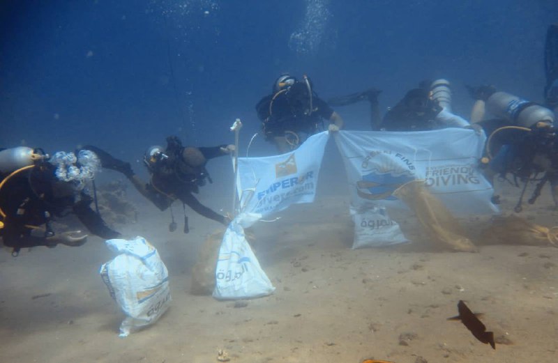 Red Sea Clean up