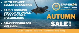 Autumn Sale 2022