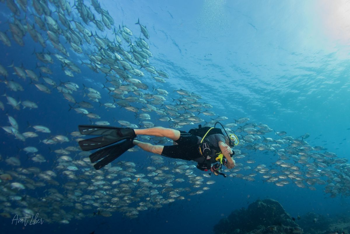 Raja Ampat diving