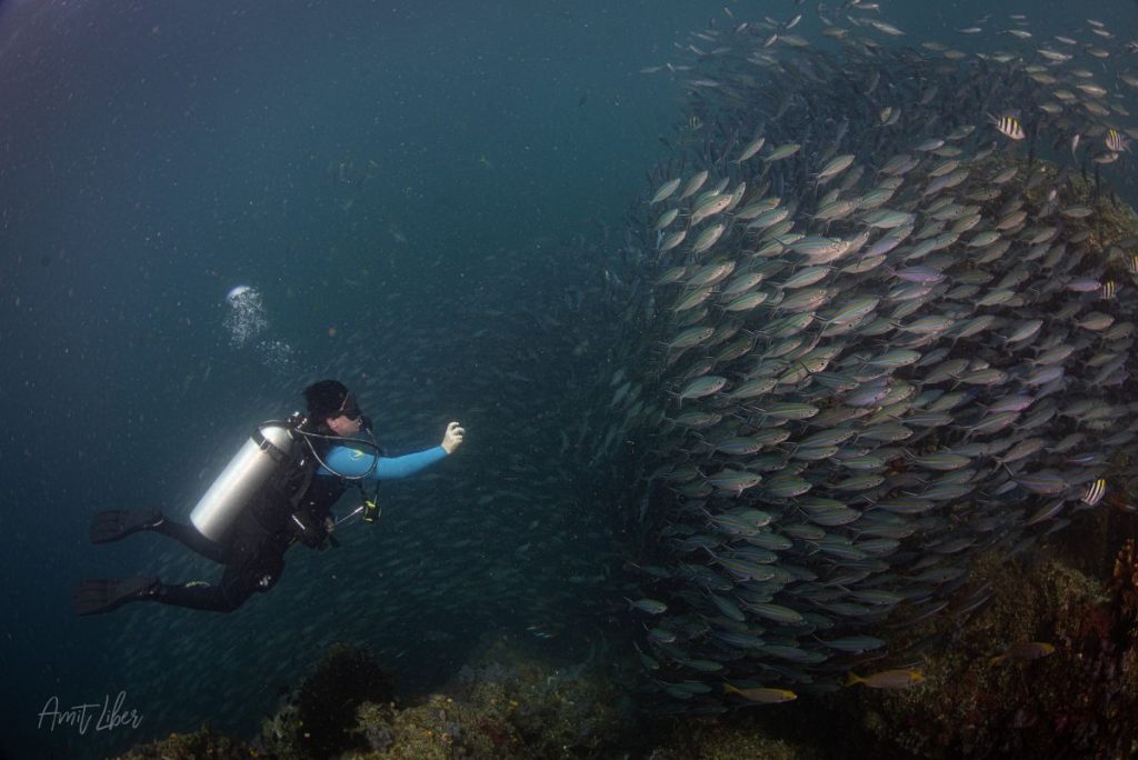 Diving Triton Bay