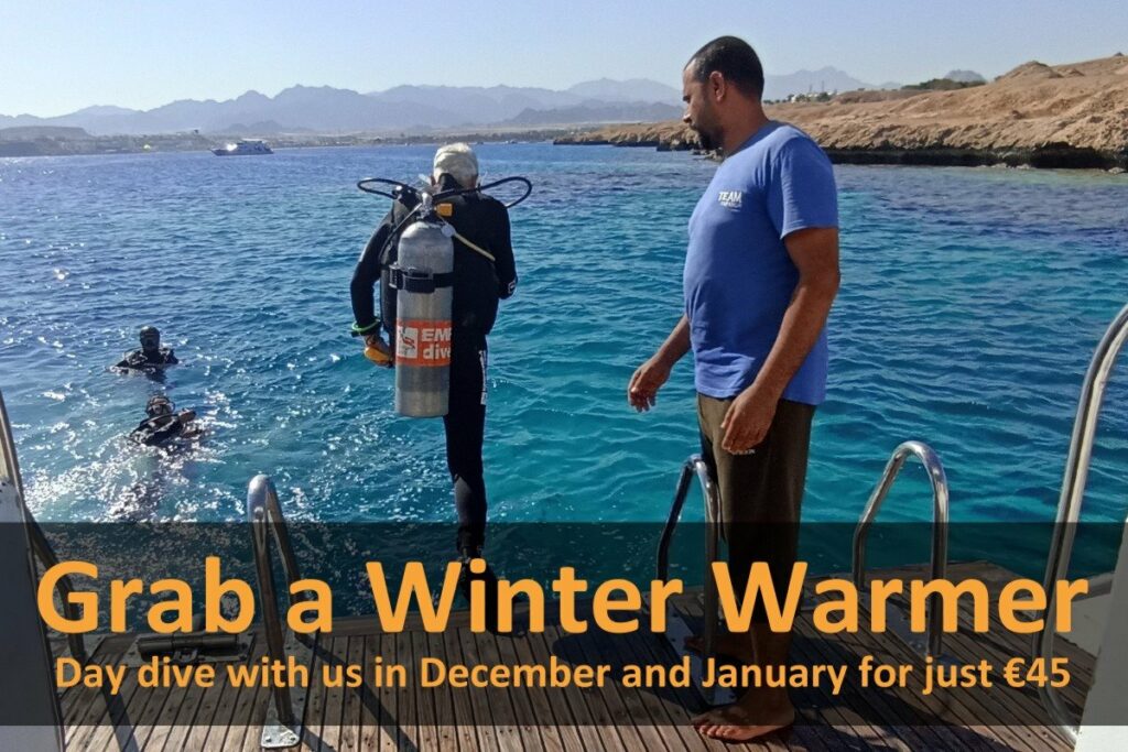 Winter Warmer
