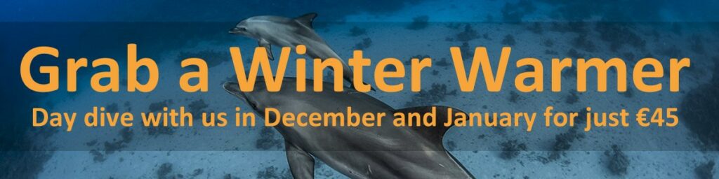 Day diving offer