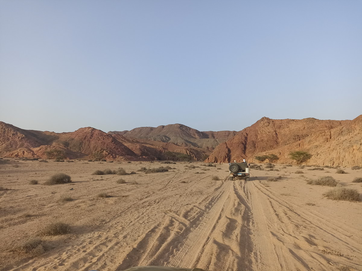 Wadi Sabarah desert safari