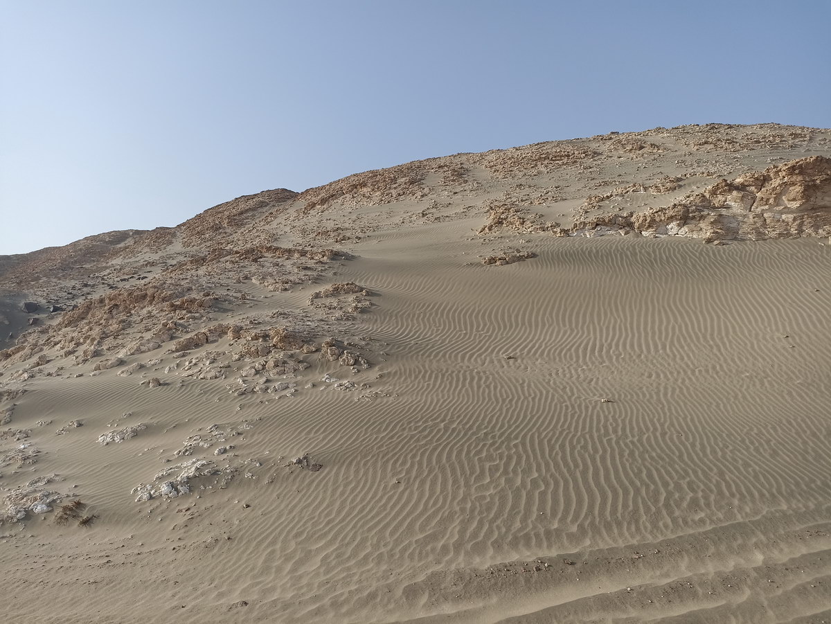 Wadi Sabarah desert safari