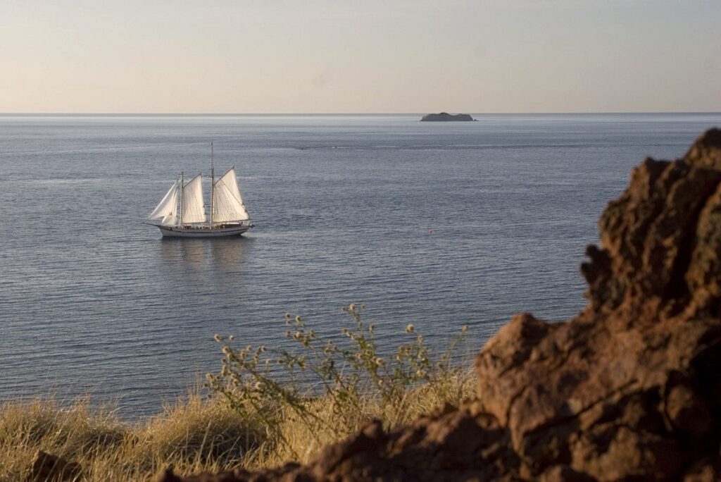 Raja Laut in Komodo