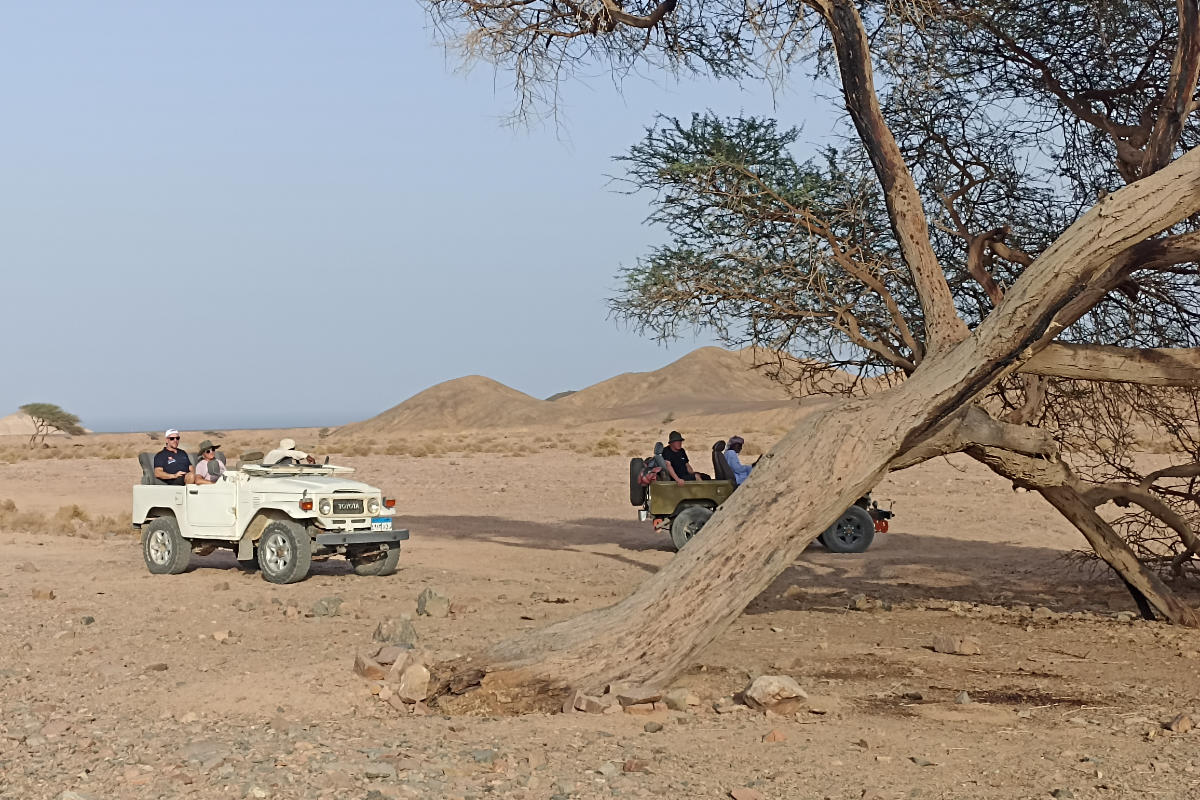 Jeep adventure