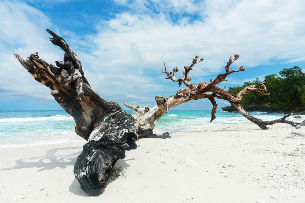 Beach on Biak island