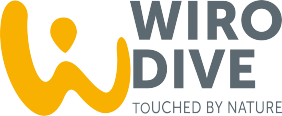 WIRODIVE