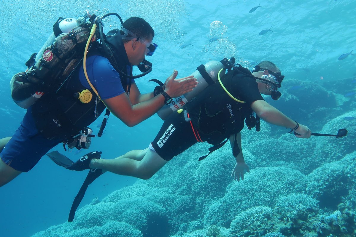Saad Badawy diving with guest