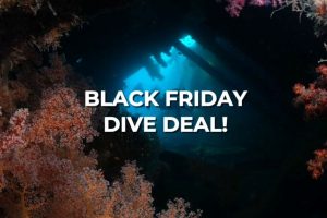Black Friday Offer