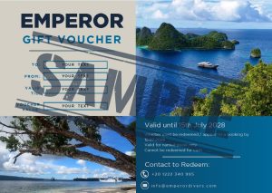Gift voucher