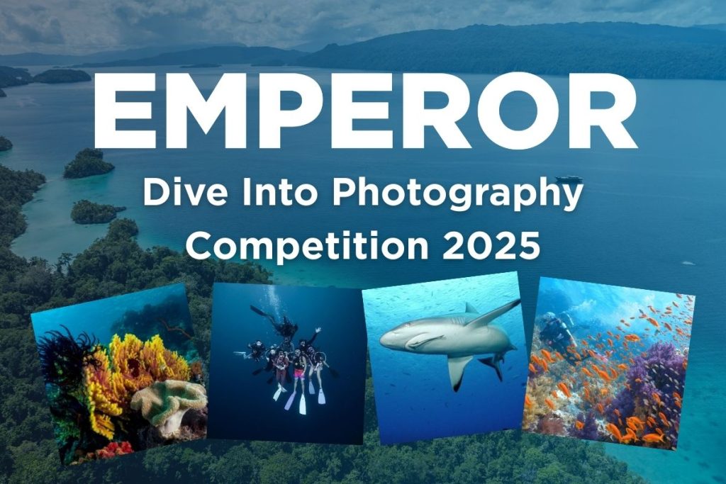 Dive Into Photography Competition 2025
