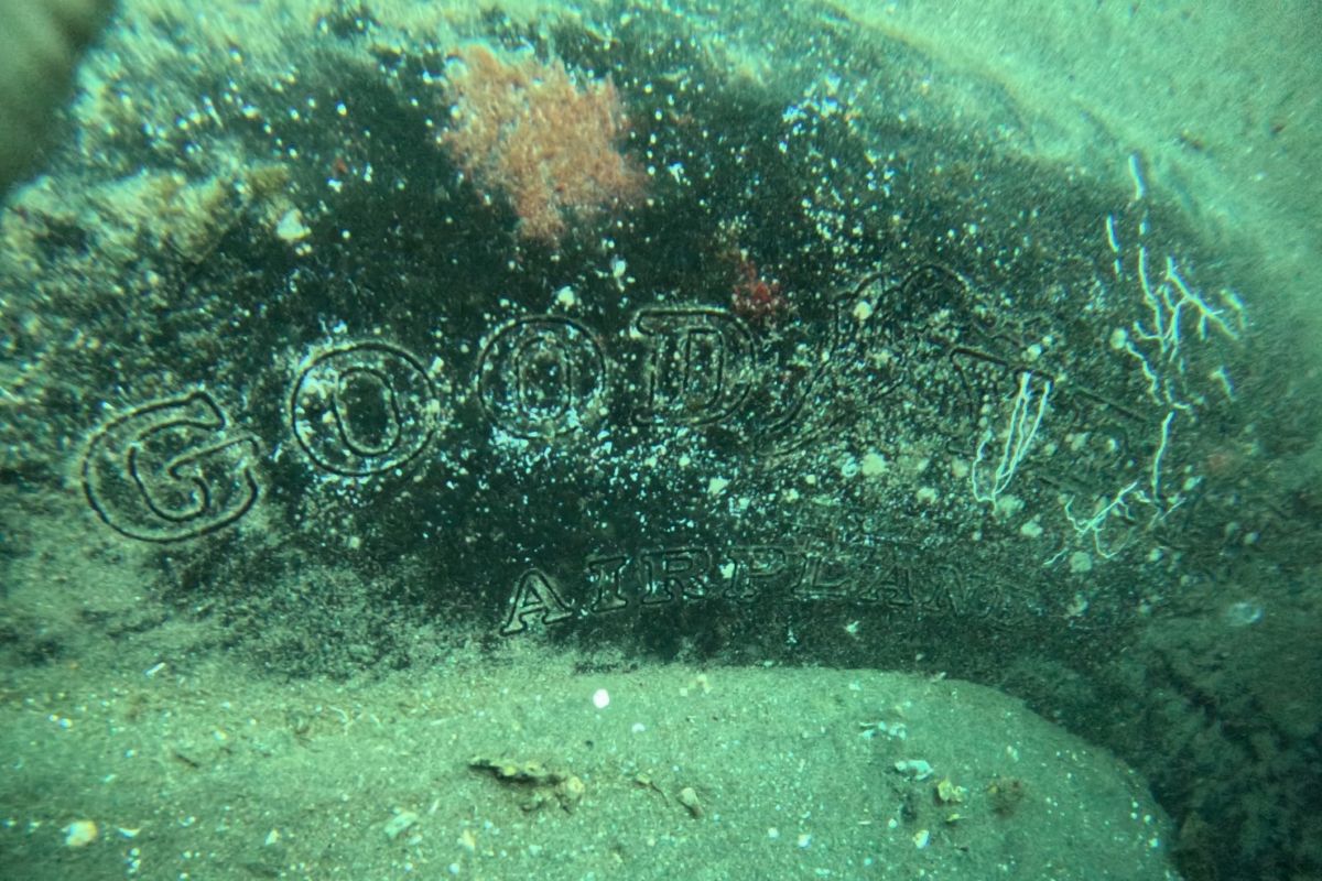 A Goodyear tyre with logo still visible on the B-17E Flying Fortress