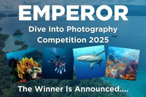 Dive Into Photography Competition winner image
