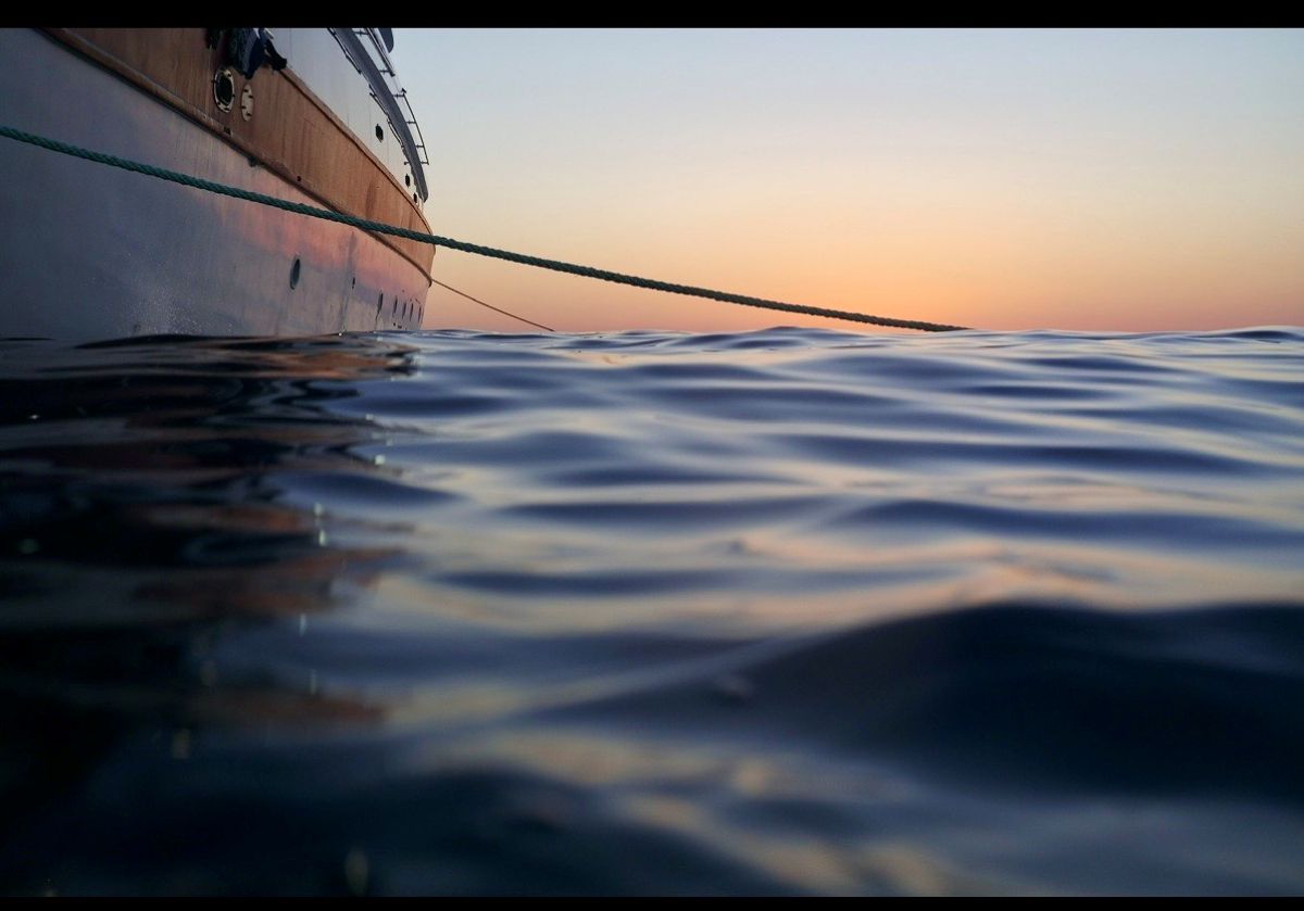 Paul Cole - Raja Laut Surface Interval