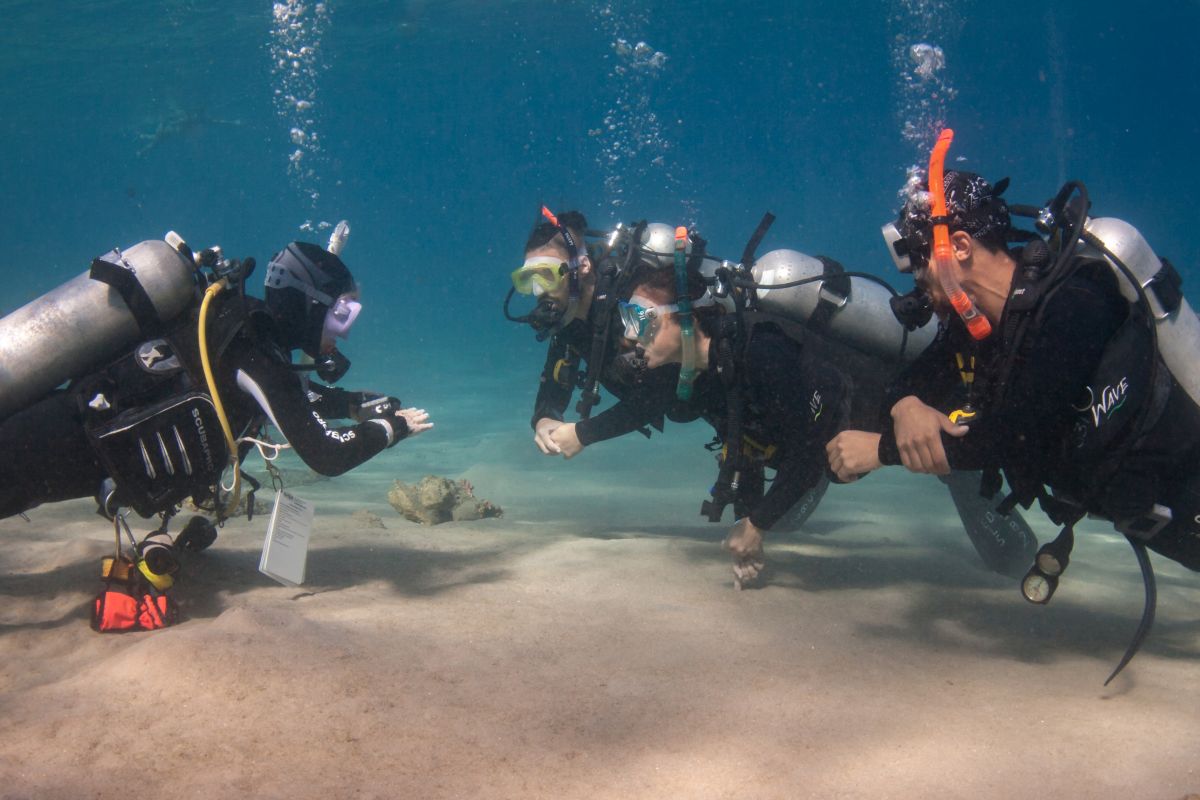 a group of scuba divers take tips from their instructor