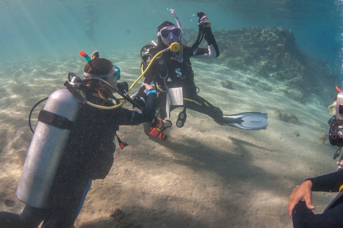 An Emperor student learning to dive