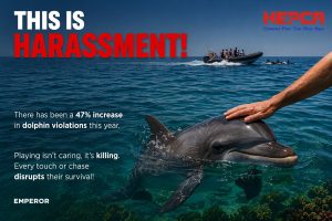 Campaign image for HEPCA's project to stop dolphin disturbance
